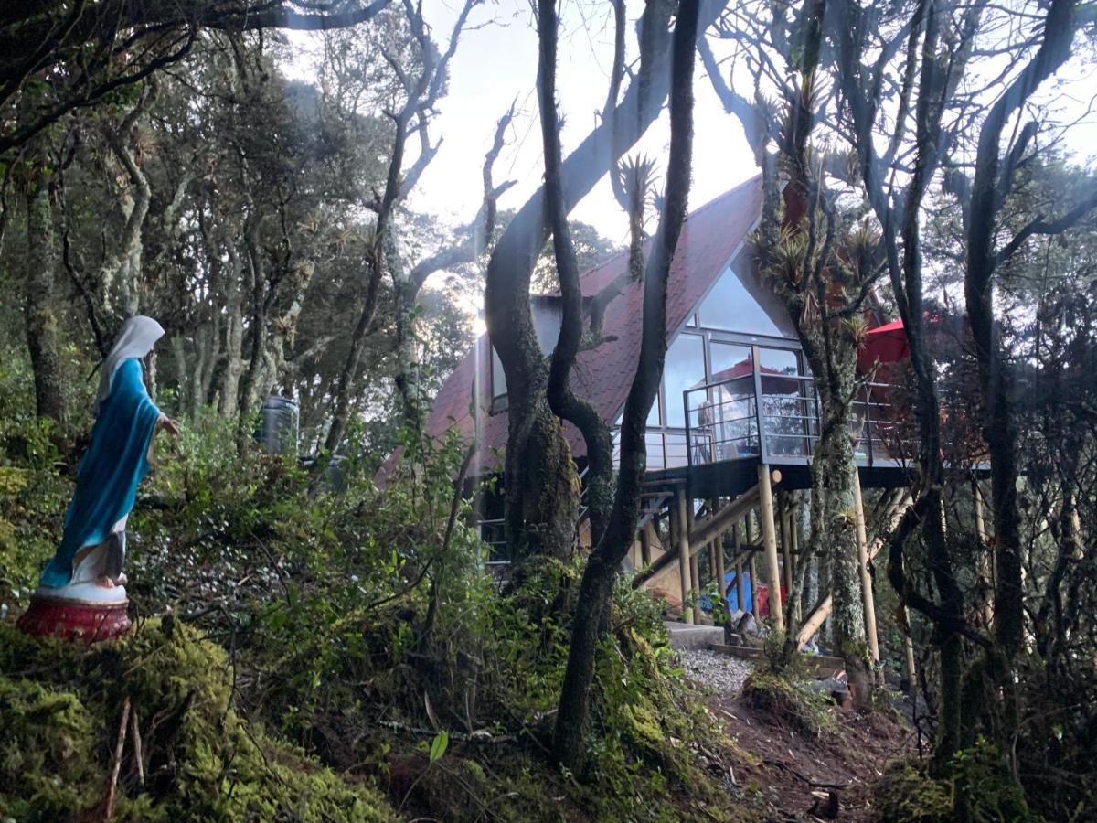Mirador Bosque Gran Torino Neusa Когуа Экстерьер фото