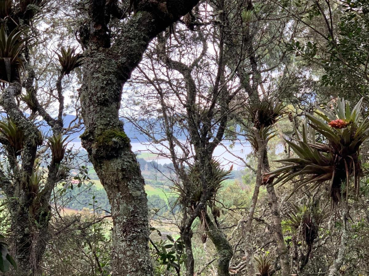 Mirador Bosque Gran Torino Neusa Когуа Экстерьер фото