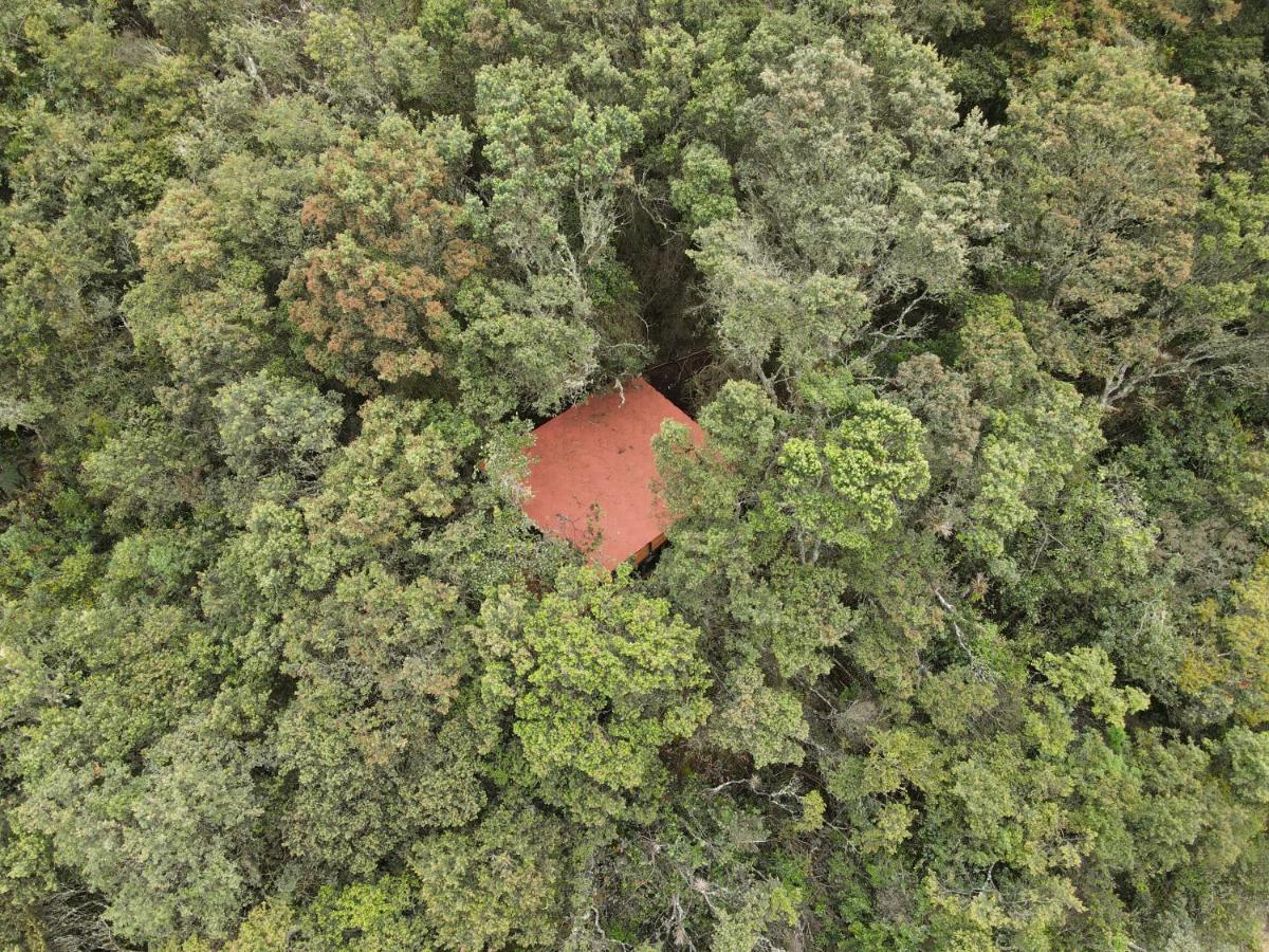 Mirador Bosque Gran Torino Neusa Когуа Экстерьер фото