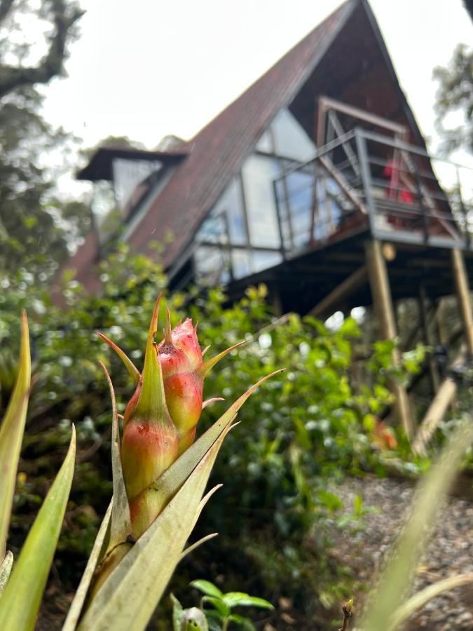 Mirador Bosque Gran Torino Neusa Когуа Экстерьер фото