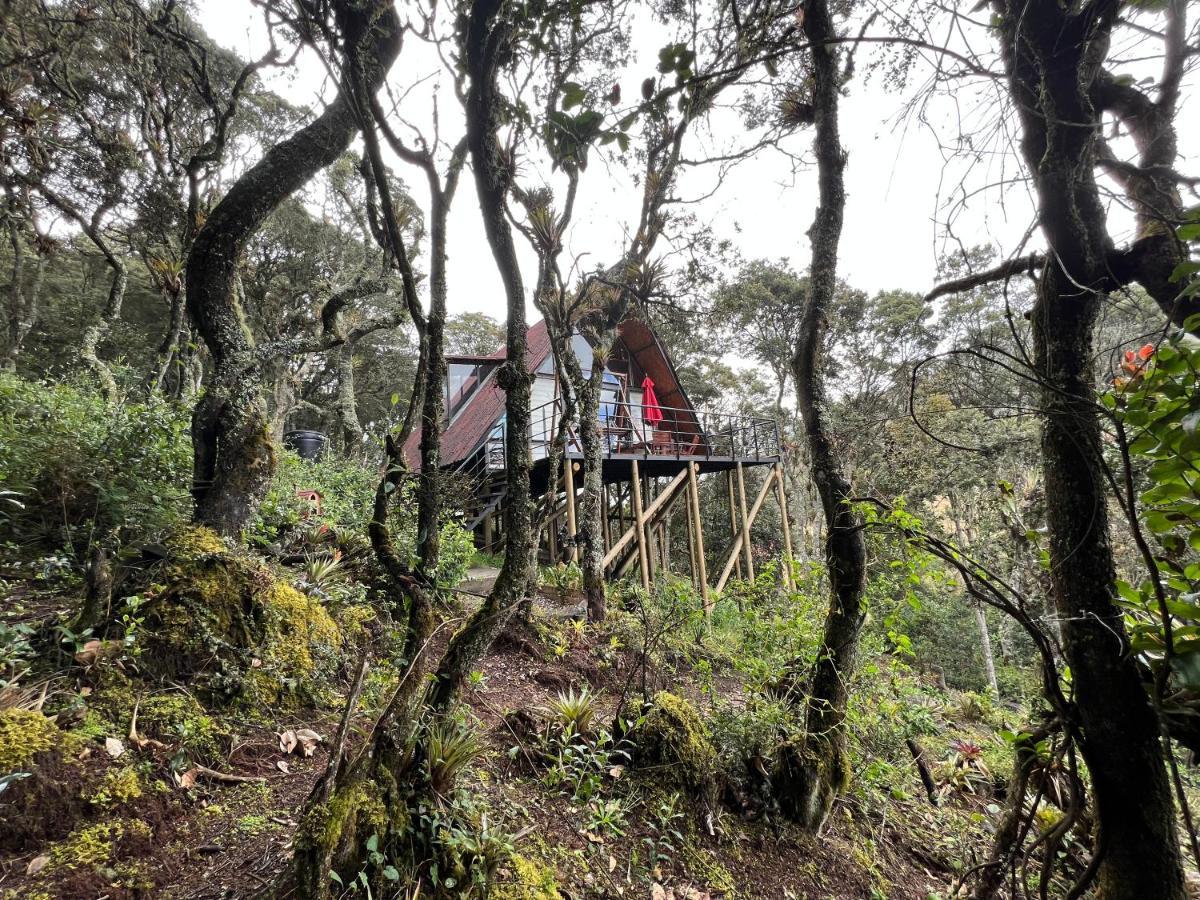 Mirador Bosque Gran Torino Neusa Когуа Экстерьер фото