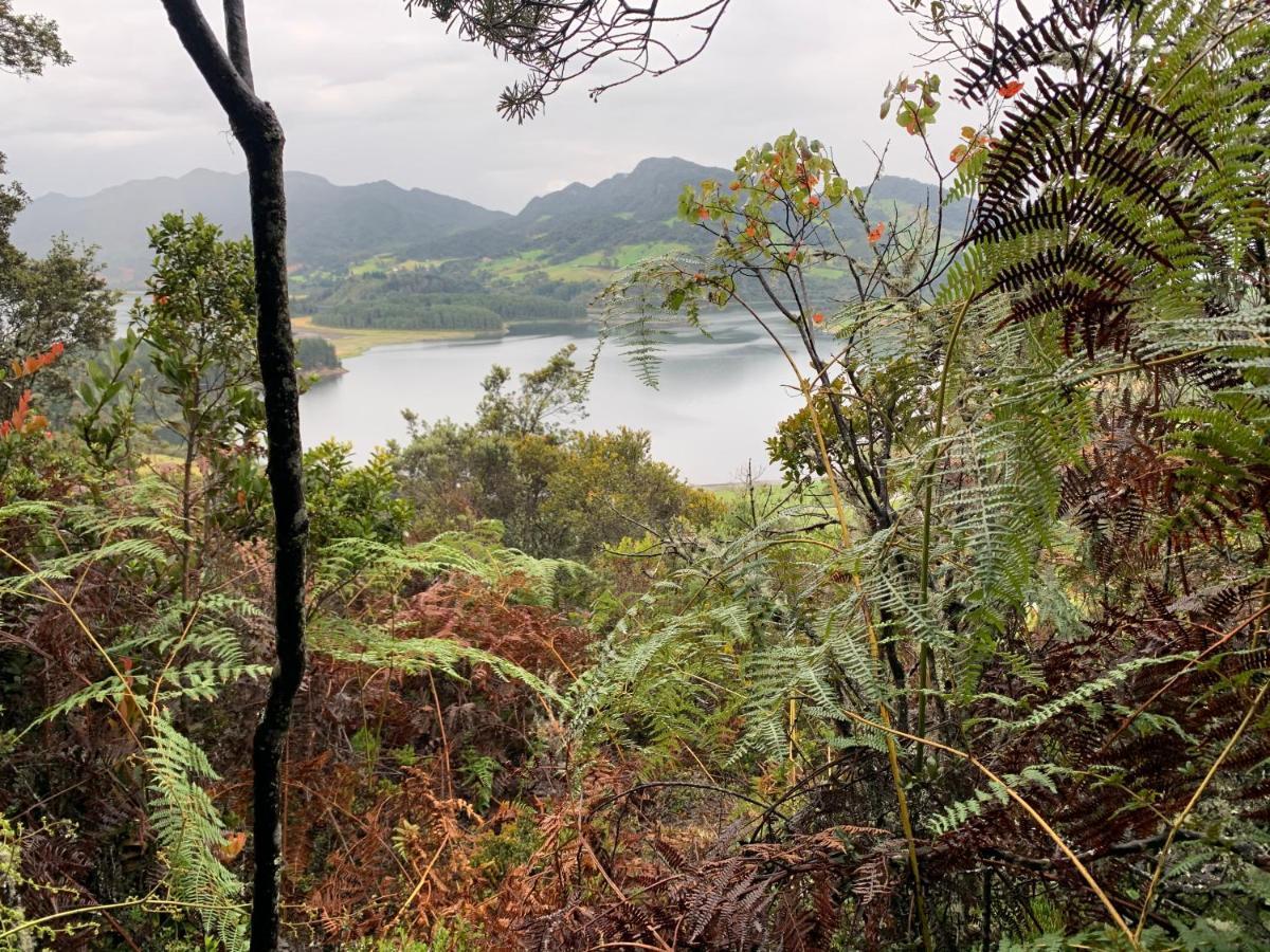 Mirador Bosque Gran Torino Neusa Когуа Экстерьер фото